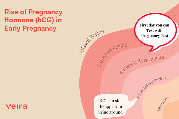 Rise Of Pregnancy Hormone Hcg In Early Pregnancy Infographic 1 1