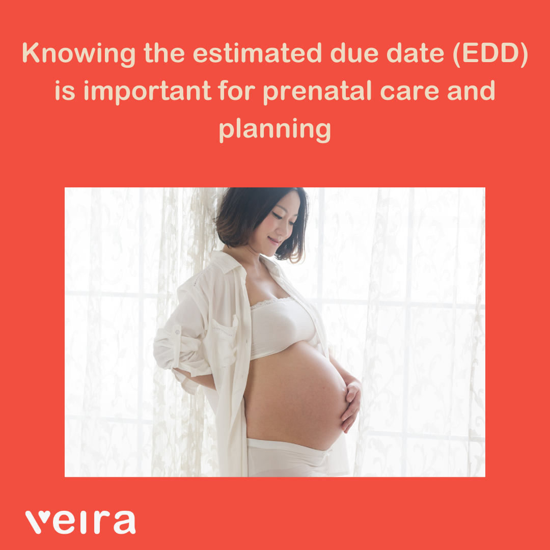 Pregnancy Due Date Calculator