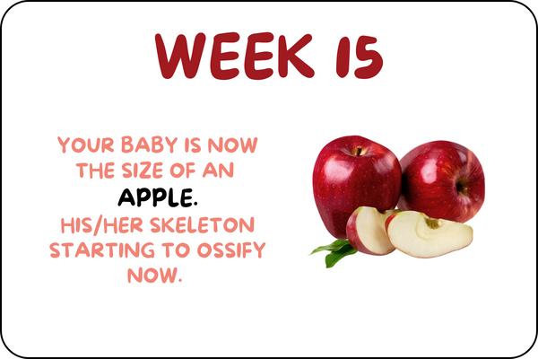 Baby Week 15 development