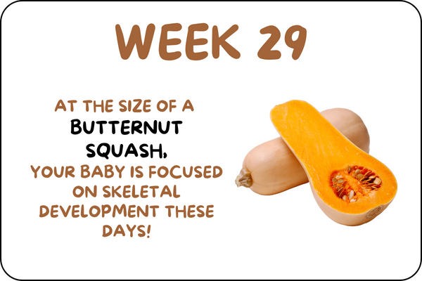 Baby Week 29 development