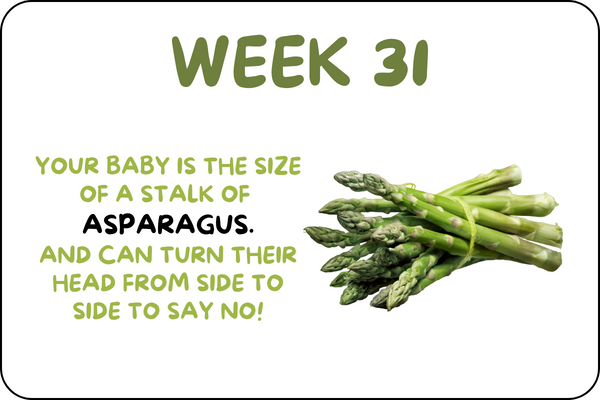 Baby Week 31 development