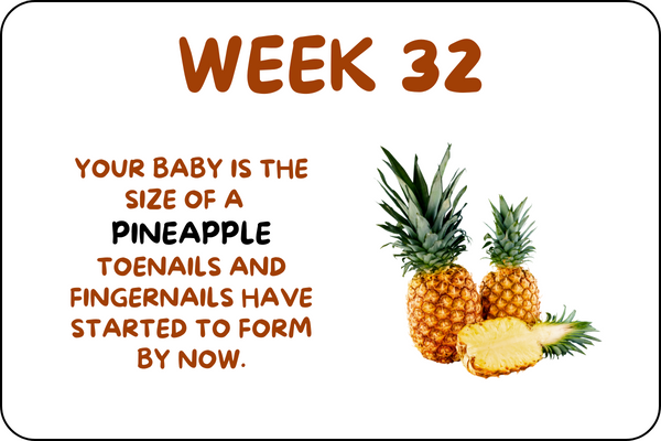 Baby Week 32 development