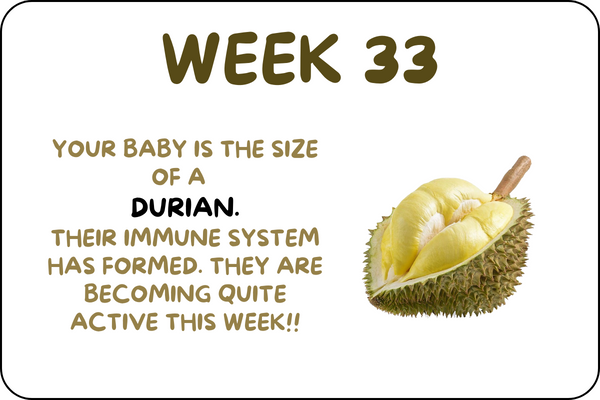 Baby Week 33 development