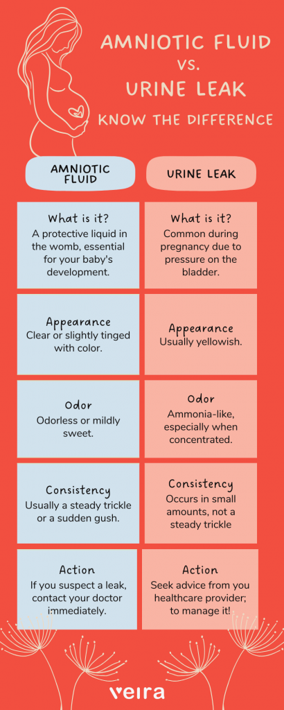 Leaking Amniotic Fluid During Pregnancy Veira Life